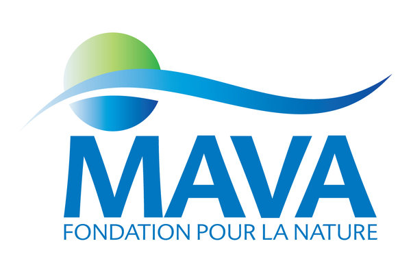 MAVA Logo